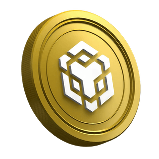 Página de orientação para traders iniciantes com foco na criptomoeda BNB